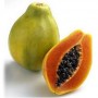 Papaya and The Medicinal Properties of This Exotic Fruit ... Papaya and The Medicinal Properties of This Exotic Fruit ...