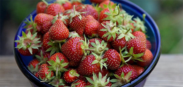 Best Way to Eat Strawberries