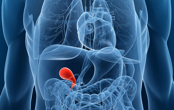 Gallbladder