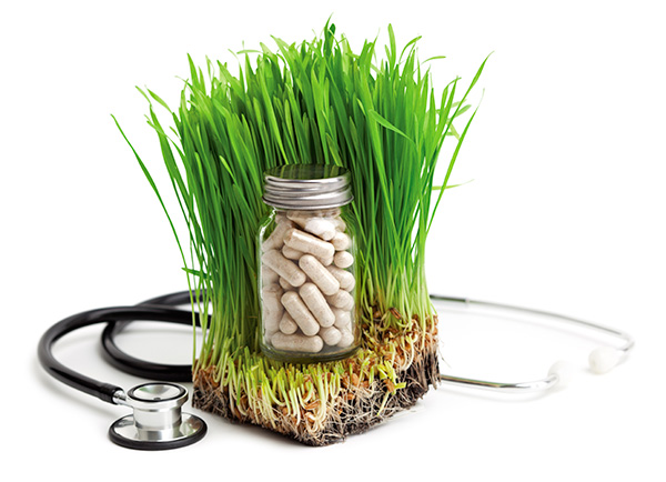 Holistic medicine
