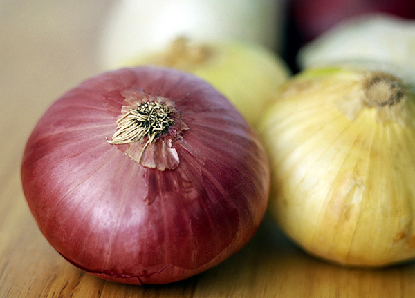 Onions Natural Antibiotics