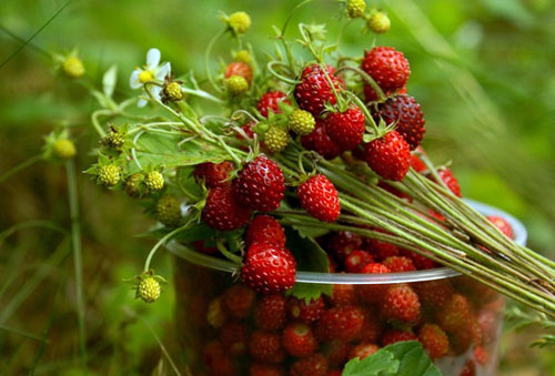 Anti inflammatory foods strawberries