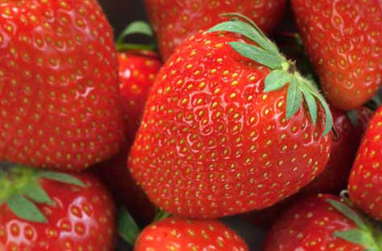 Strawberries vitamin c