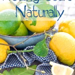 Best Way To Heal Scars Naturally Best Way To Heal Scars Naturally